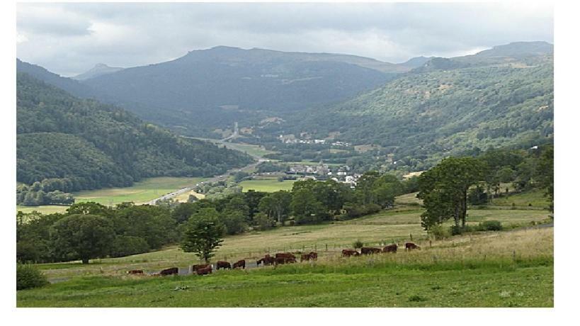 Vacances Au Pied Des Monts Du Cantal Laveissiere Экстерьер фото