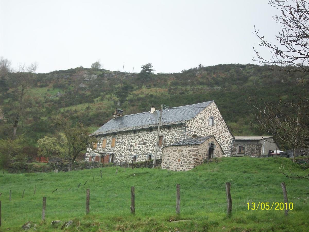 Vacances Au Pied Des Monts Du Cantal Laveissiere Экстерьер фото